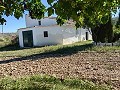 Gran oportunidad de casa de campo en las afueras de Pinoso in Spanish Fincas
