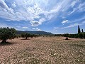 Beautiful Rural Country Home Awaiting a New Beginning  in Spanish Fincas