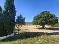 Gran oportunidad de casa de campo en las afueras de Pinoso in Spanish Fincas
