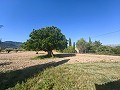 Gran oportunidad de casa de campo en las afueras de Pinoso in Spanish Fincas