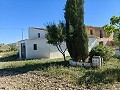 Gran oportunidad de casa de campo en las afueras de Pinoso in Spanish Fincas