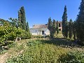 Gran oportunidad de casa de campo en las afueras de Pinoso in Spanish Fincas