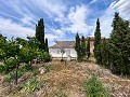 Beautiful Rural Country Home Awaiting a New Beginning  in Spanish Fincas