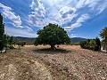 Beautiful Rural Country Home Awaiting a New Beginning  in Spanish Fincas