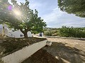 Ruime grotwoning van 230 m² met bergzicht nabij Pinoso in Spanish Fincas