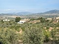 Ruime grotwoning van 230 m² met bergzicht nabij Pinoso in Spanish Fincas