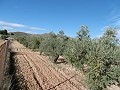 Cozy 4-Bedroom Country Home with Stunning Views and Paved Access, 11 km from Yecla in Spanish Fincas