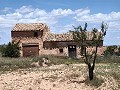 Ruïne in Pinoso met voldoende grond om een nieuw huis te bouwen in Spanish Fincas