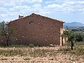 Ruïne in Pinoso met voldoende grond om een nieuw huis te bouwen in Spanish Fincas