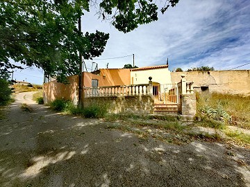 Wunderschönes Höhlenhaus mit Grundstück nur 10 Minuten von Pinoso entfernt