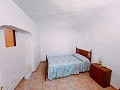 Wunderschönes Höhlenhaus mit Grundstück nur 10 Minuten von Pinoso entfernt in Spanish Fincas