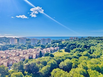 Appartement met 2 slaapkamers in Dehesa De Campoamor