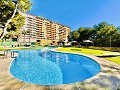 Appartement met 2 slaapkamers in Dehesa De Campoamor in Spanish Fincas