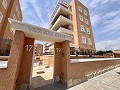 3-Zimmer-Wohnung in Guardamar del Segura in Spanish Fincas
