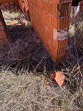 Gran parcela con construcción incompleta in Spanish Fincas