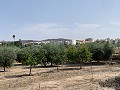 Villa mit privatem Pool, 3 Schlafzimmern, separater Garage und Olivenbäumen in Spanish Fincas