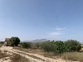 Villa mit privatem Pool, 3 Schlafzimmern, separater Garage und Olivenbäumen in Spanish Fincas