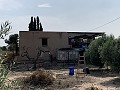 Villa mit privatem Pool, 3 Schlafzimmern, separater Garage und Olivenbäumen in Spanish Fincas