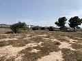 Villa mit privatem Pool, 3 Schlafzimmern, separater Garage und Olivenbäumen in Spanish Fincas