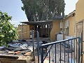 Villa mit privatem Pool, 3 Schlafzimmern, separater Garage und Olivenbäumen in Spanish Fincas