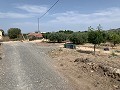 Villa mit privatem Pool, 3 Schlafzimmern, separater Garage und Olivenbäumen in Spanish Fincas