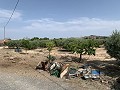 Villa mit privatem Pool, 3 Schlafzimmern, separater Garage und Olivenbäumen in Spanish Fincas