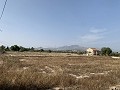 Villa mit privatem Pool, 3 Schlafzimmern, separater Garage und Olivenbäumen in Spanish Fincas