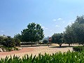 Ground Floor Apartment with fabulous views in Spanish Fincas