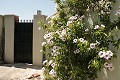 Lovely 3 Bed 2 Bath Villa in Abanilla. in Spanish Fincas