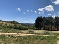 Schöne, netzunabhängige Finca mit 4 Schlafzimmern und 1 Bad in Almansa. in Spanish Fincas