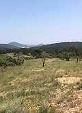 Schöne, netzunabhängige Finca mit 4 Schlafzimmern und 1 Bad in Almansa. in Spanish Fincas