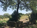Schöne, netzunabhängige Finca mit 4 Schlafzimmern und 1 Bad in Almansa. in Spanish Fincas