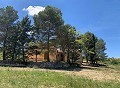 Schöne, netzunabhängige Finca mit 4 Schlafzimmern und 1 Bad in Almansa. in Spanish Fincas