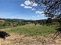 Schöne, netzunabhängige Finca mit 4 Schlafzimmern und 1 Bad in Almansa. in Spanish Fincas
