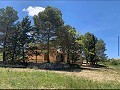 Schöne, netzunabhängige Finca mit 4 Schlafzimmern und 1 Bad in Almansa. in Spanish Fincas