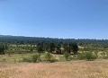 Schöne, netzunabhängige Finca mit 4 Schlafzimmern und 1 Bad in Almansa. in Spanish Fincas