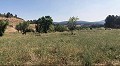 Schöne, netzunabhängige Finca mit 4 Schlafzimmern und 1 Bad in Almansa. in Spanish Fincas
