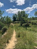 Schöne, netzunabhängige Finca mit 4 Schlafzimmern und 1 Bad in Almansa. in Spanish Fincas