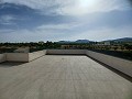 Schöne Villa mit 6 Schlafzimmern und 5 Bädern in Pinoso. in Spanish Fincas