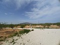 Schöne Villa mit 6 Schlafzimmern und 5 Bädern in Pinoso. in Spanish Fincas