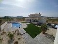 Schöne Villa mit 6 Schlafzimmern und 5 Bädern in Pinoso. in Spanish Fincas