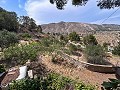 Wonderful Country House with Incredible Mountain Views in Petrer in Spanish Fincas