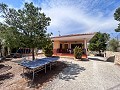 Wonderful Country House with Incredible Mountain Views in Petrer in Spanish Fincas