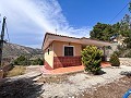 Wonderful Country House with Incredible Mountain Views in Petrer in Spanish Fincas