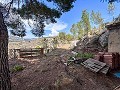 Wonderful Country House with Incredible Mountain Views in Petrer in Spanish Fincas