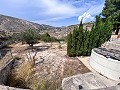 Wonderful Country House with Incredible Mountain Views in Petrer in Spanish Fincas