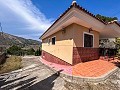 Wonderful Country House with Incredible Mountain Views in Petrer in Spanish Fincas