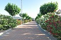 Beautiful 4 bed 2 Bath Villa in Villena. in Spanish Fincas