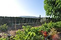 Beautiful 4 bed 2 Bath Villa in Villena. in Spanish Fincas