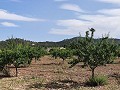 Schönes Landhaus mit 6 Schlafzimmern und 1 Bad in Yecla. in Spanish Fincas